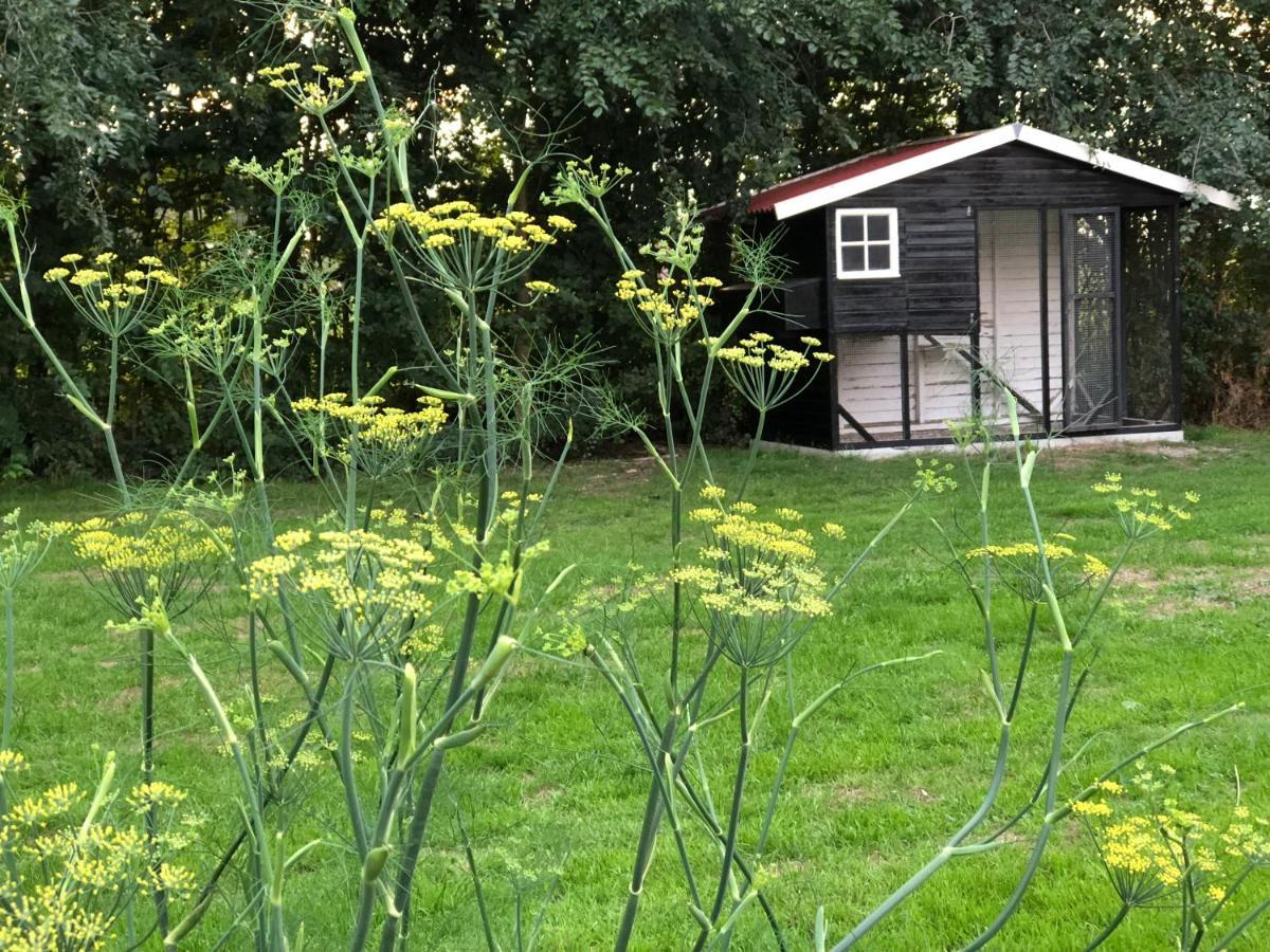 Bed and Breakfast Het Leeuwterveld Sint Jansklooster Экстерьер фото